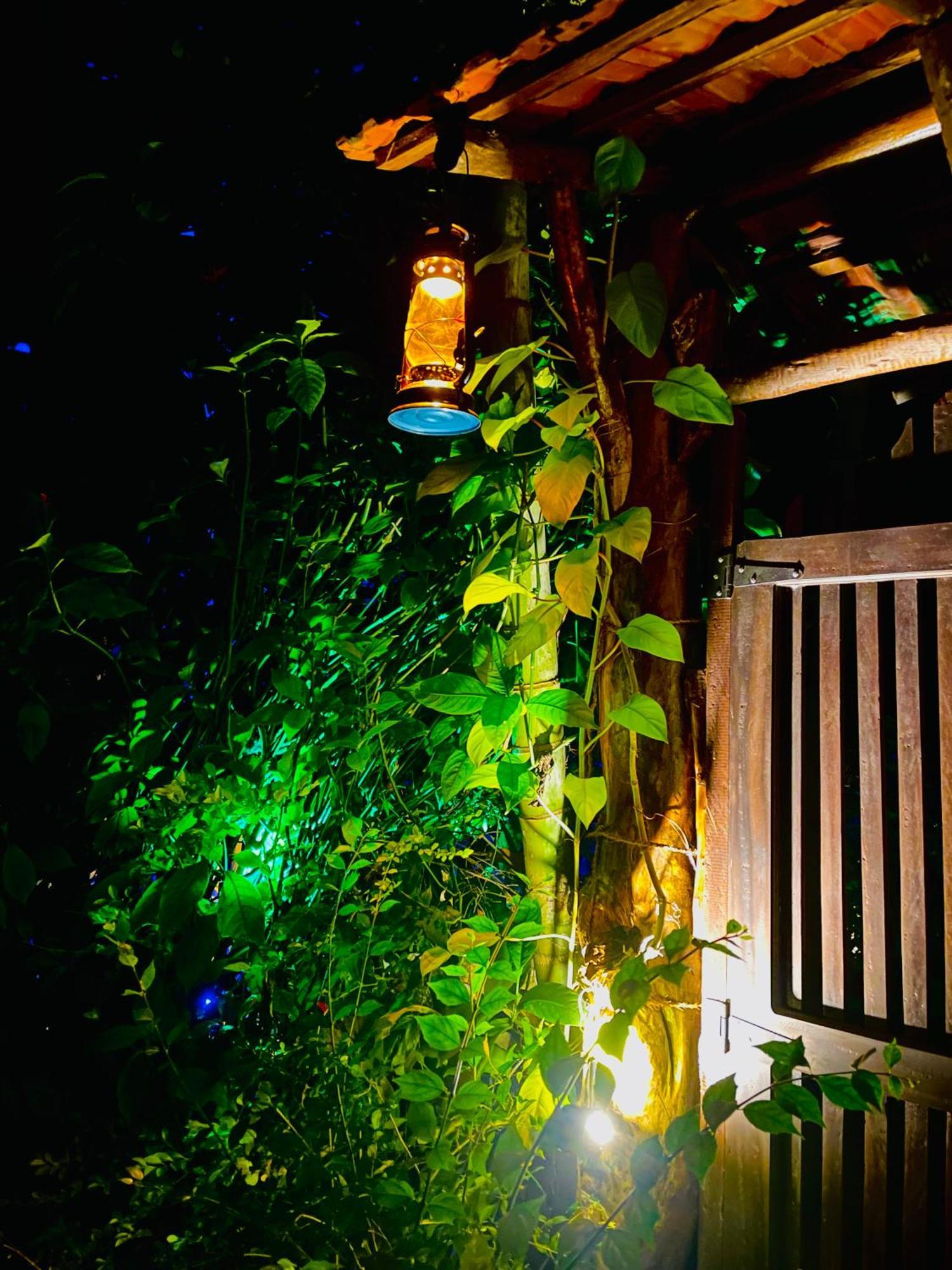 Treetops Ella Exterior foto